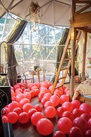 Tiny Pines Glamping