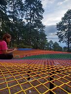 Tiny Pines Glamping