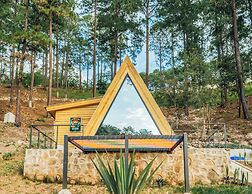Tiny Pines Glamping