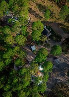 Tiny Pines Glamping
