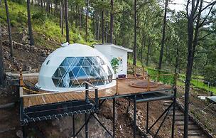 Tiny Pines Glamping