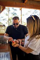 Tiny Pines Glamping
