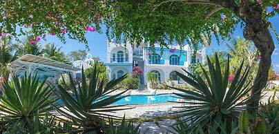 santorinivilla.vn