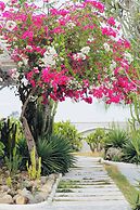 santorinivilla.vn