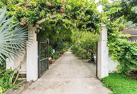 Tang Thanh Phat Resort