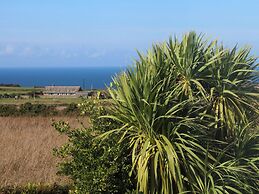 Sea Holly