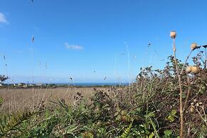 Sea Holly