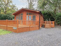 Laughing Duck
