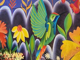 Casa Colibri Palomino