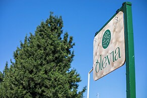 Olevia Comfort