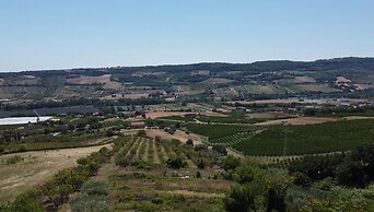 AGRITURISMO MONTEMAGGIO