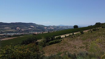 AGRITURISMO MONTEMAGGIO