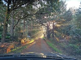Kelling Heath Holiday Park - Holiday Accommodation 20762