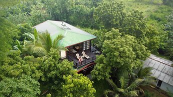 Jungle Paradise Hotel
