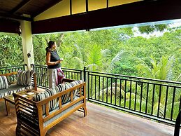 Jungle Paradise Hotel