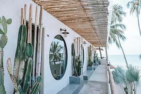 Meraki Oasis