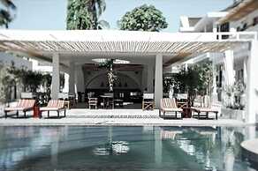 Meraki Oasis