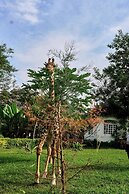 Arusha Safari Lodge
