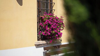 Agriturismo Borgo del Mincio