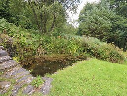 Ty Newydd