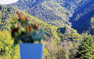 Emerald Borjomi Hotel