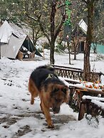 Camp Oak View