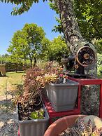 Quinta Vale Salgueiro