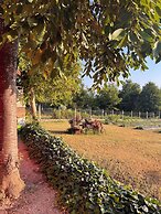Quinta Vale Salgueiro