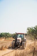 Herdade do Carregouçal