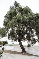 Herdade do Carregouçal