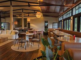 Dreamer Cocora