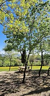 Domaine de Pech et Lafon. Cabanes avec SPA privatif