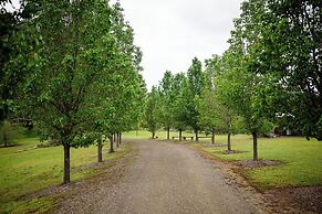 Redwood Park Wolombi