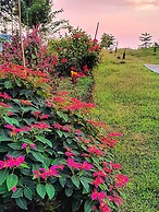 Infinity Viewpoint Homestay