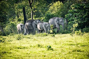 Infinity Viewpoint Homestay