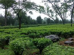 Infinity Viewpoint Homestay