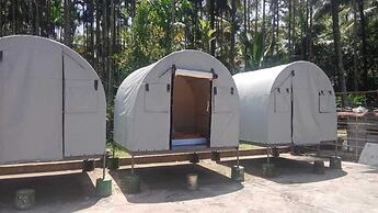 Rising Surya Homestay