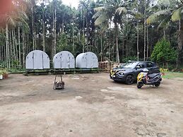 Rising Surya Homestay