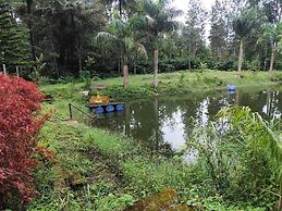 Rising Surya Homestay