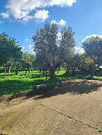 Holiday Calabria Rooms
