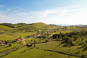 Transylvanian Home - Mountain View, BBQ & Pool