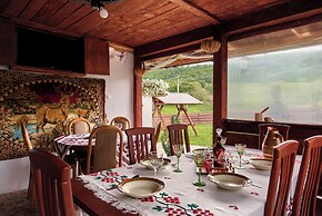 Transylvanian Home - Mountain View, BBQ & Pool