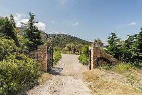 Los Olivos Los Olivos