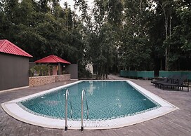 Irroi Kaziranga