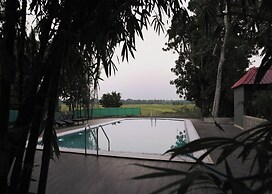 Irroi Kaziranga