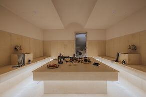 Shizen Wellness Hotel