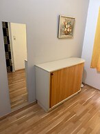 Cozy 1BR Apt with LR Vienna Location
