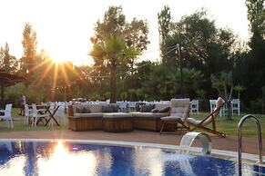Yengeç Adults Only