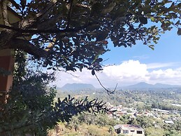 El Encinal de las Flores