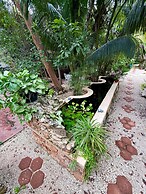 La Casa Del Arbol